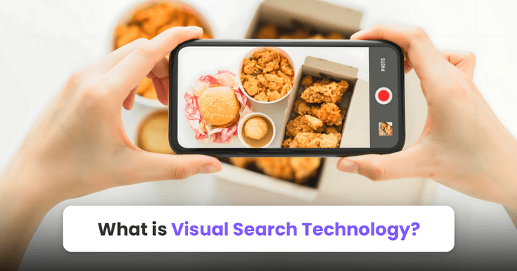 what is visual search technology