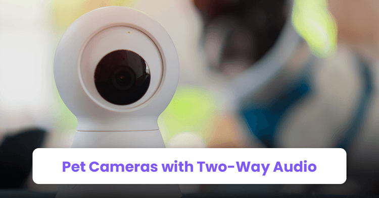 2. Pet Cameras with Two-Way Audio