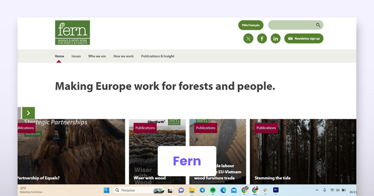 Website 1: Fern