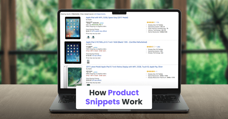 How Product Snippets Work