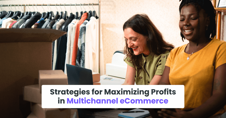 Strategies for Maximizing Profits in Multichannel eCommerce