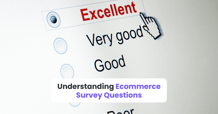 Understanding Ecommerce Survey Questions