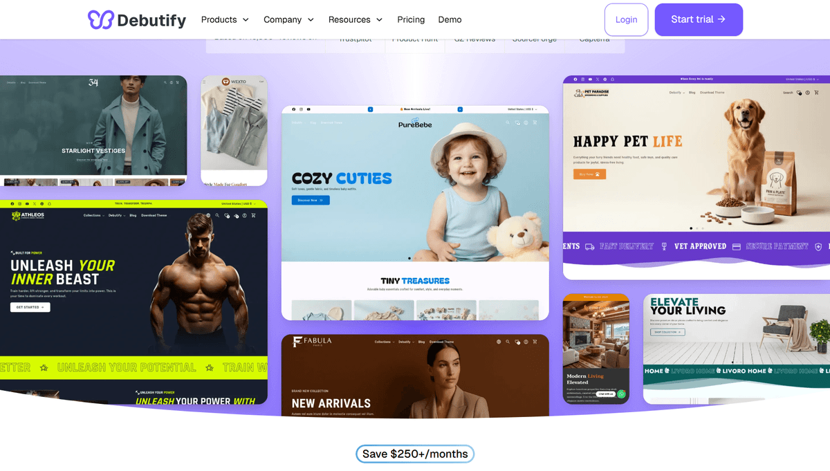 Choosing a Profitable Dropshipping Niche