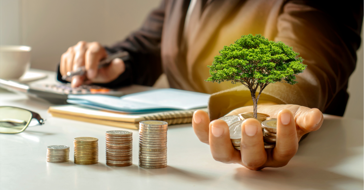 Building A Profitable Niche Store